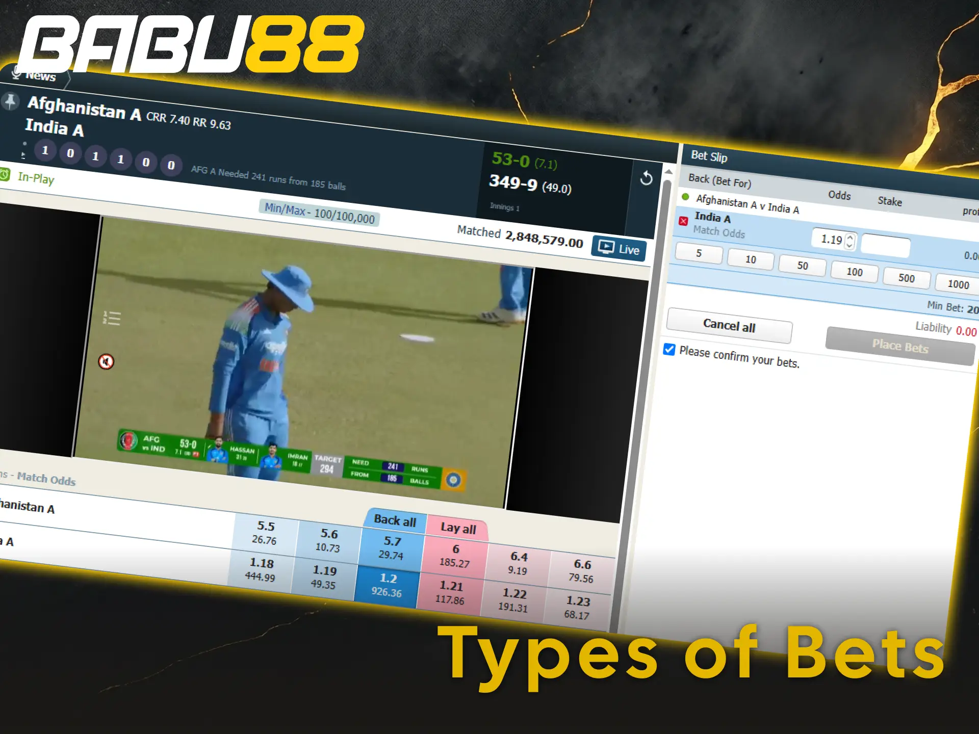 Explore diverse types of bets for maximum profit on Babu88.