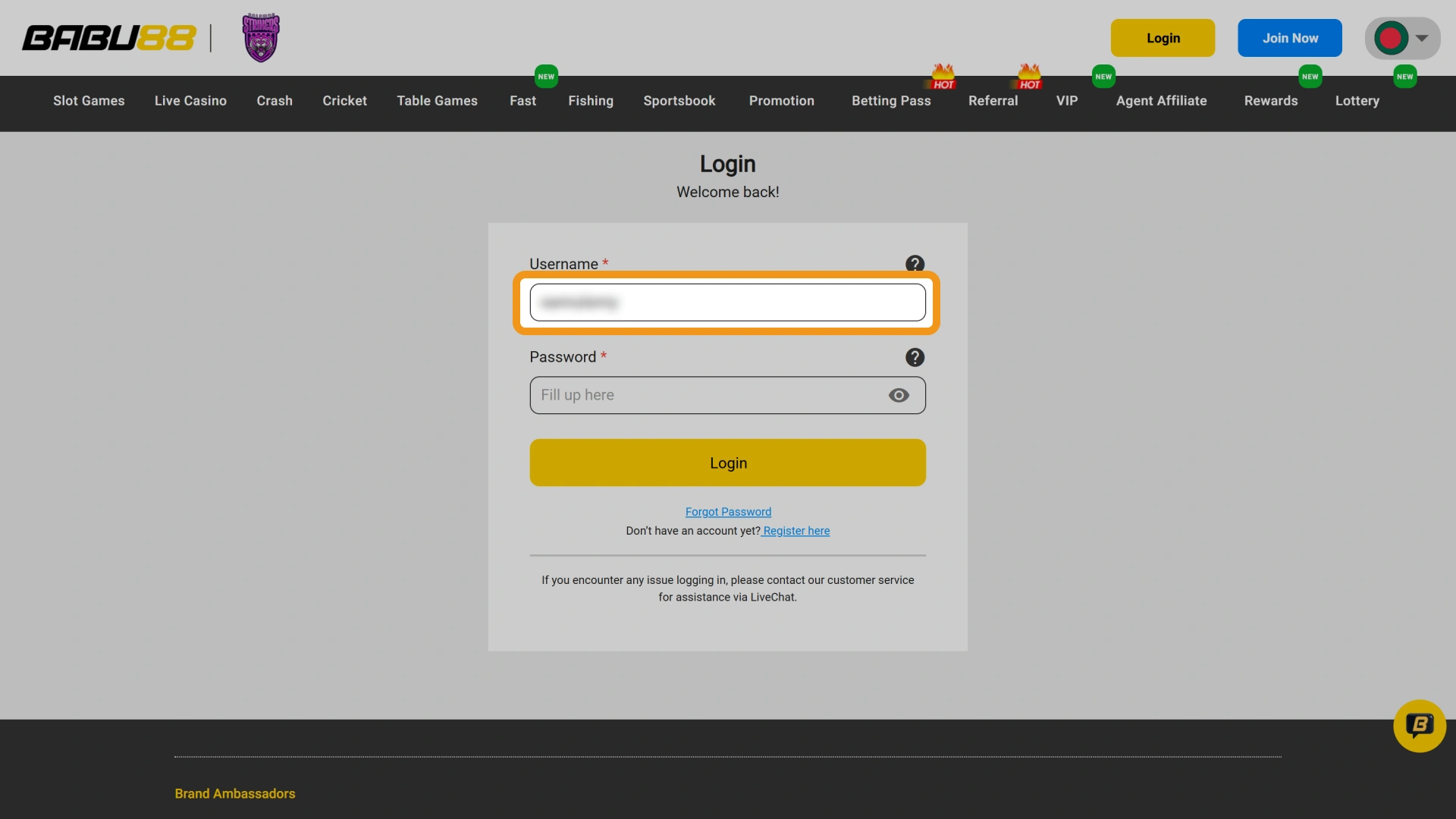 Enter your registered mobile number or email in the Babu88 main account form.